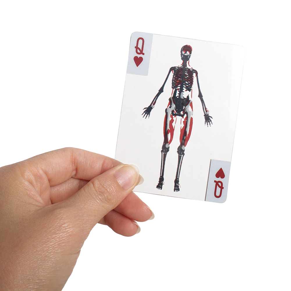 3D Image Educational Cards Wea - Kids Education Images review and price