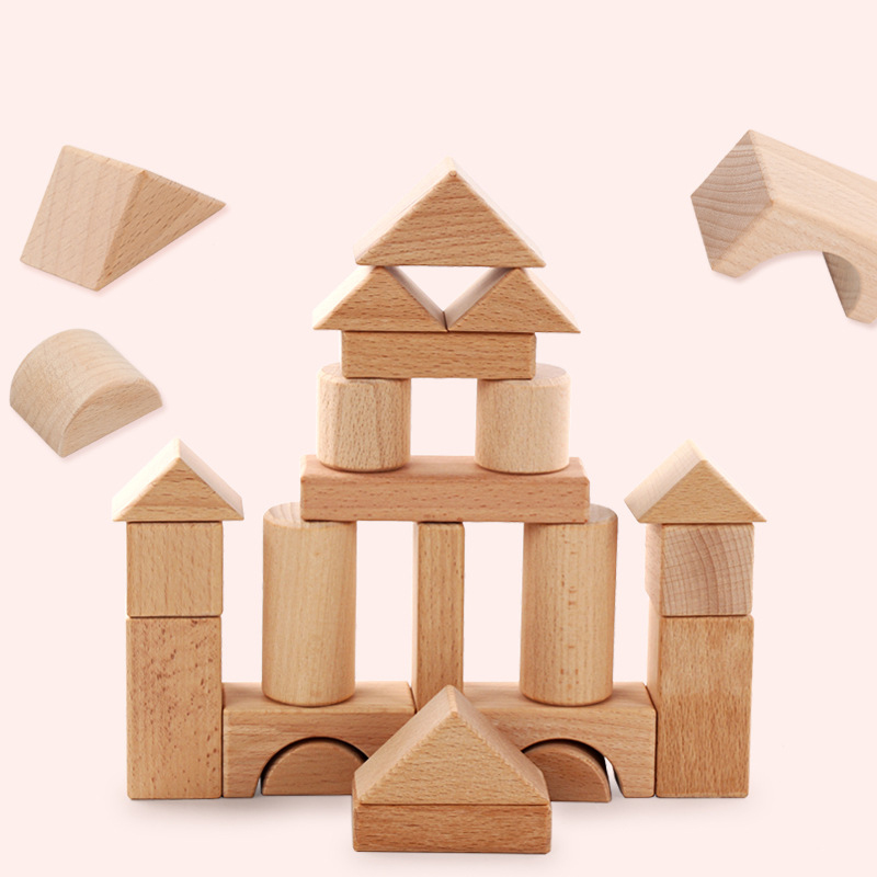 22pcs Building Blocks Beech Wo - Kids Education Login review and price